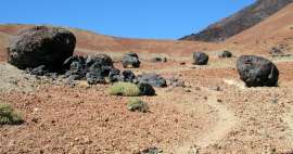 Die schönsten Wanderungen auf den Kanaren