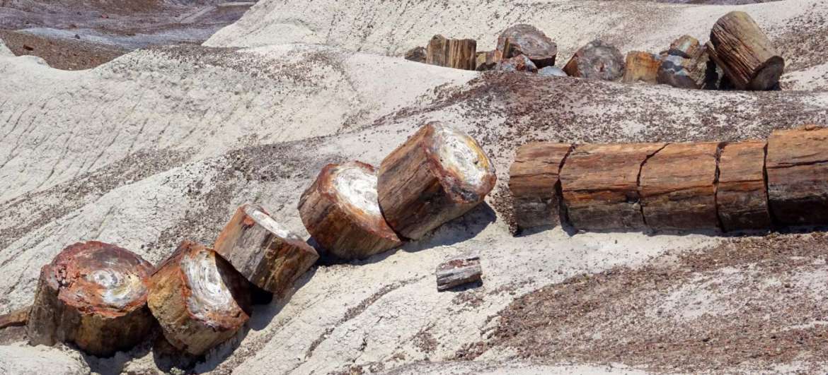 Quiz on The most beautiful national parks in the USA - The best of