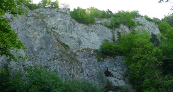 Muro de piedra caliza masiva cerca de la cueva Punkva