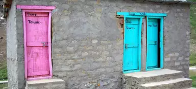 Туалеты по всему миру