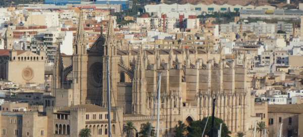 Mallorca prenavideña: Precios y costos