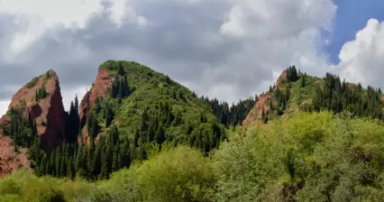 Разбитое сердце