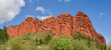 Siete toros