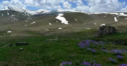 Llanuras de Deosais