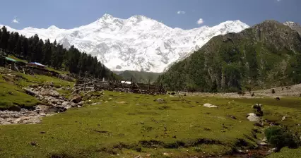 Prados de cuento de hadas bajo el Nanga Parbat