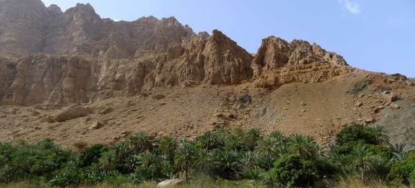 Stop in Wadi Tiwi: Accommodaties