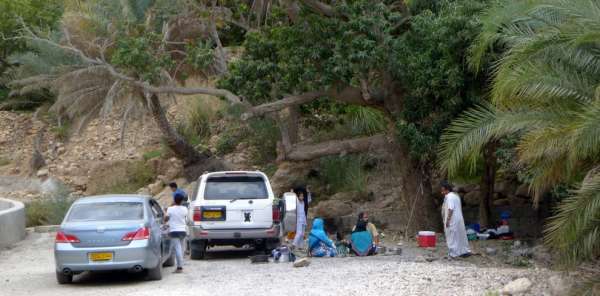 Picnic under a mature tree