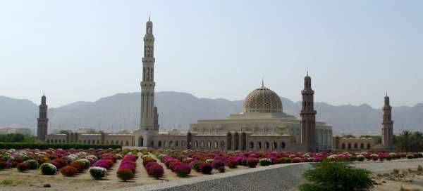 Prohlídka Velkého Muscatu: Ubytování
