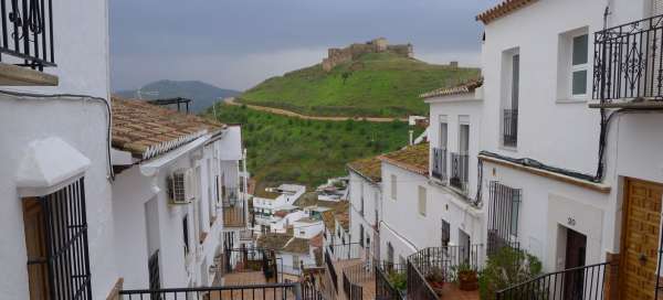 Tours de Alora: Clima y temporada