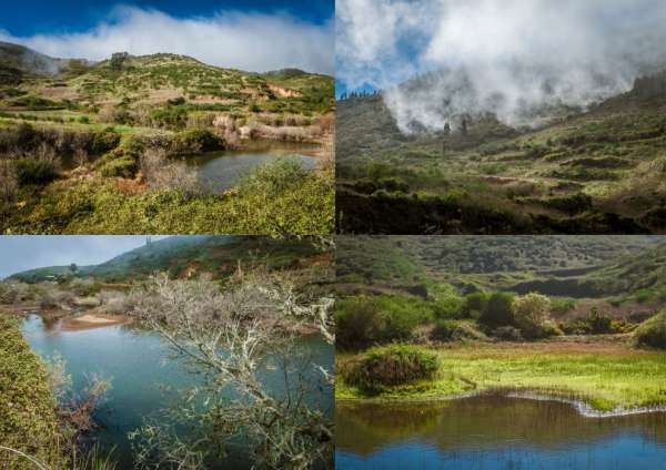 Ponds of Erjos