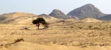 Trip to the promontory of Ras al Hadd