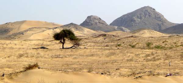 Ausflug zum Vorgebirge von Ras al Hadd: Transport