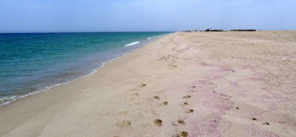 Nekonečná pláž na Ras al Hadd