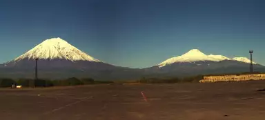 젤리조보