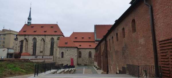 Prohlídka Anežského kláštera: Ubytování