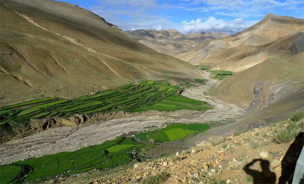 Un'oasi vicino ai villaggi tibetani