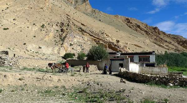 Tibetan farmhouse