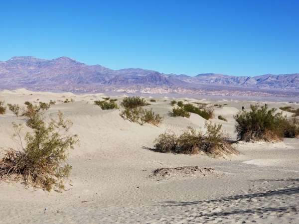 Grande dune de sable