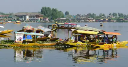 Srinagar