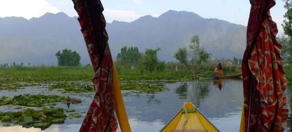 Cruise on Lake Dal