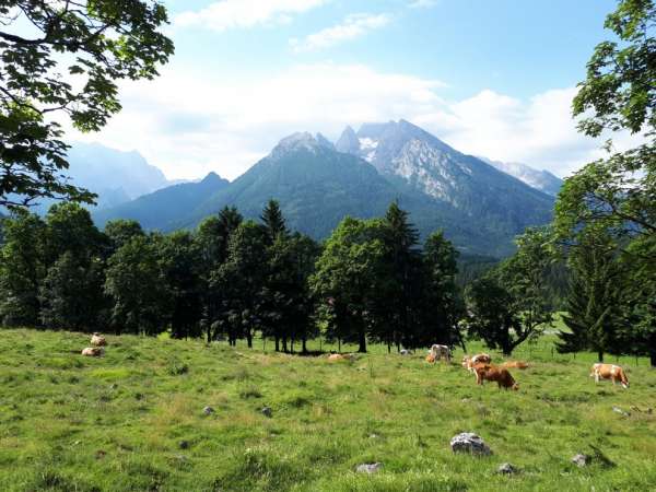 Hike three: a round trip through alpine pastures