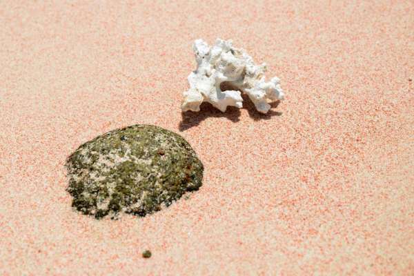 Pink beach