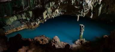 兰科洞穴