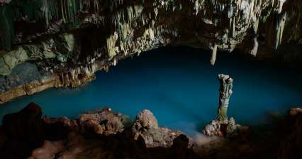 兰科洞穴