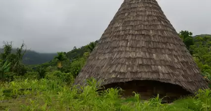Todo