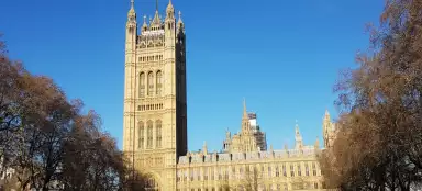 Палаты парламента