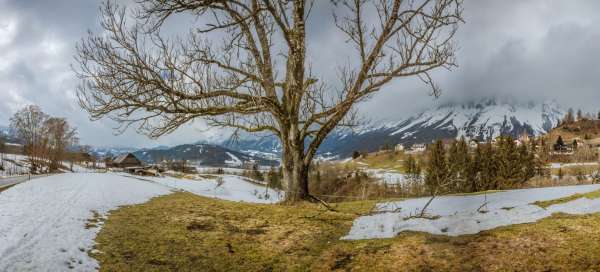 Niederöblarn: Ostatní