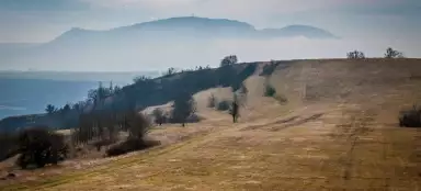 Steppa di Pouzdřanská