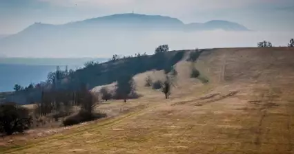 Pouzdřanská steppe