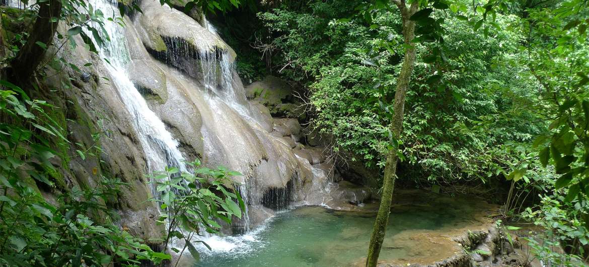 Artículos Chiapas