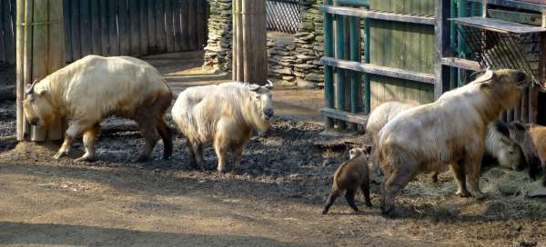 Prohlídka ZOO Liberec: Stravování