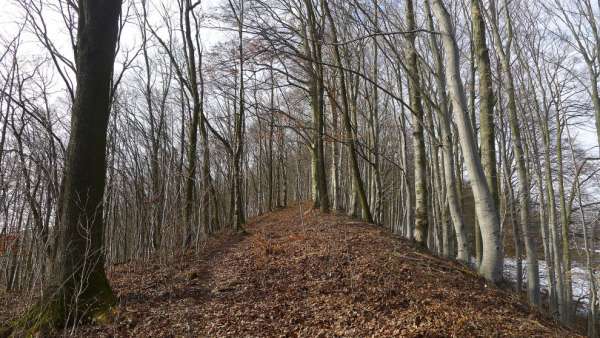 Le chemin le long de la crête