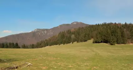 Ostré a Šíp