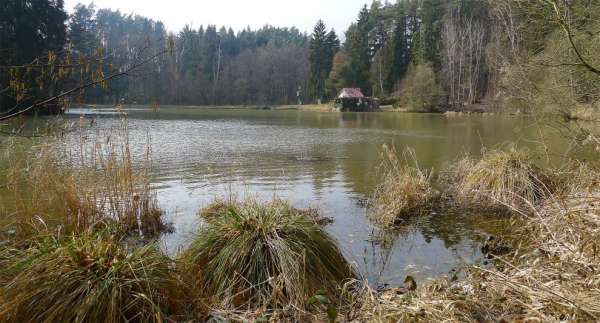 Pond Mines from the other side