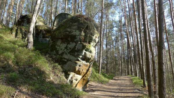 Gemütlicher Weg durch den Wald