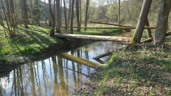 Brücke über den Fluss