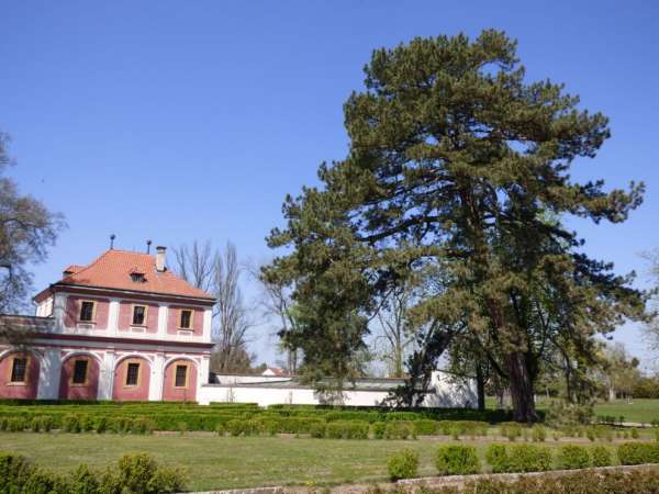 Chateau park