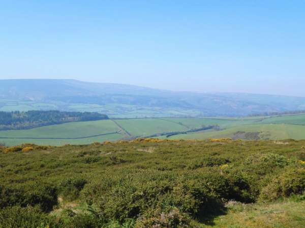 Widok na pastwiska Exmoor