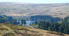 Nationaal park Dartmoor