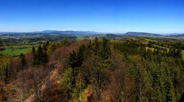 View from the lookout tower