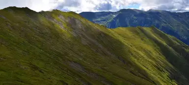 Făgăraș