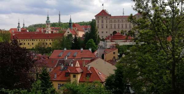 Blick nicht nur auf das Schloss Černín