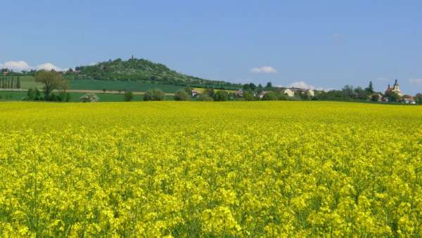 Vistas de Velis