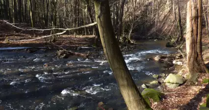 Zero ferata