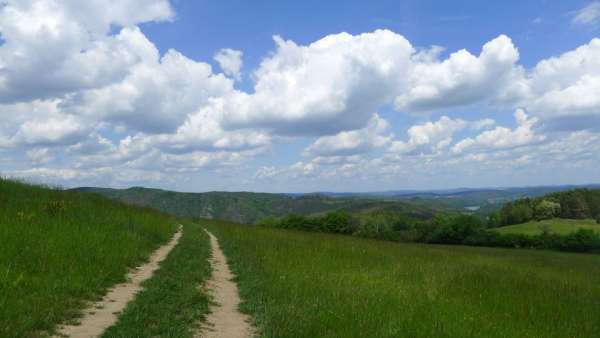 Le chemin de la tour de guet