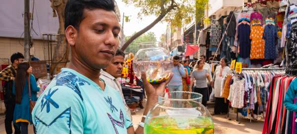 Sarojni Nagar: Tempo e temporada